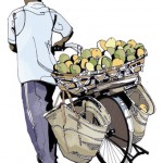mango-man-bg mango-man-bg