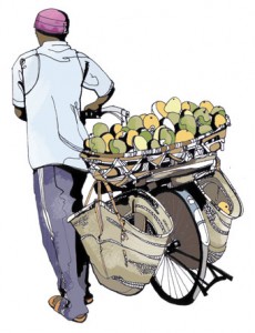 mango-man-bg